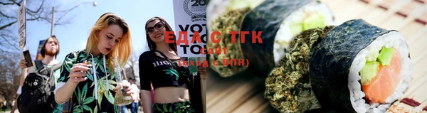 ГАЛЛЮЦИНОГЕННЫЕ ГРИБЫ Аркадак