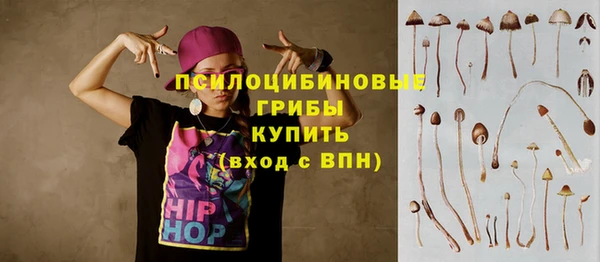 винт Армянск